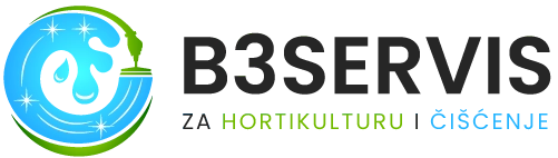 Logo B3 SERVIS