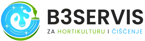 Logo B3 SERVIS