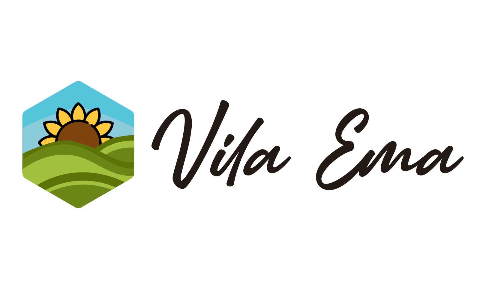 Logo APARTMAN VILLA EMA