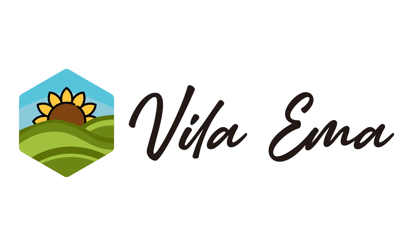 Logo APARTMAN VILLA EMA