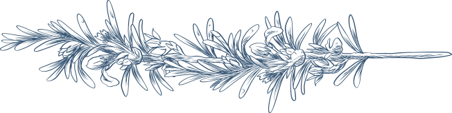 Logo DE BOTANIKA WEDDINGS