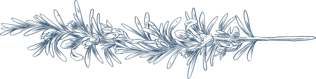 Logo DE BOTANIKA WEDDINGS