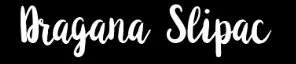 Logo Dragana Slipac