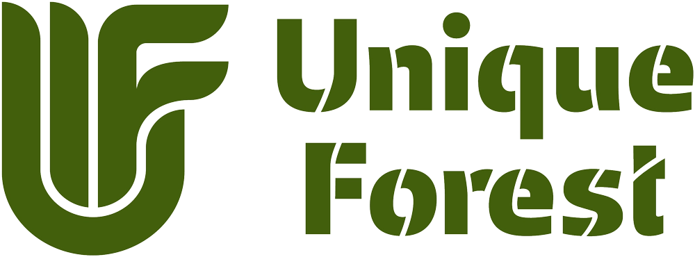 Logo Unique forest