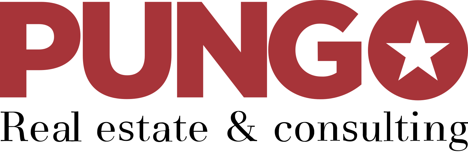 Logo Pungo d.o.o.
