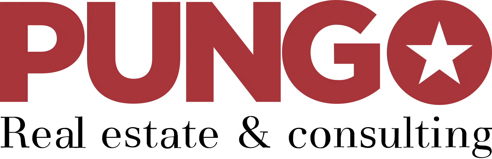 Logo Pungo d.o.o.