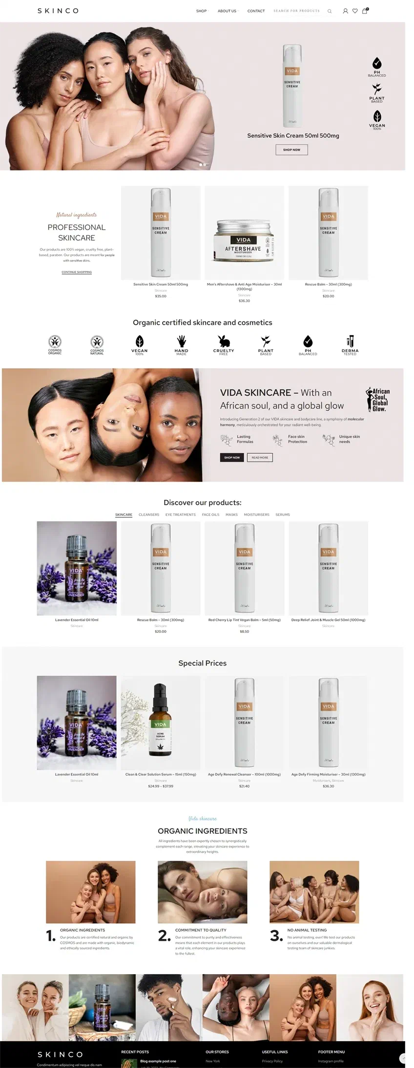 Prikaz web stranice VIDA SKINCO