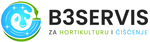 B3 SERVIS logo